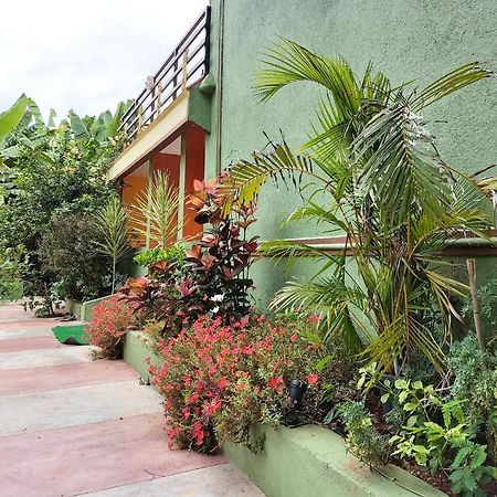 האמפי Banana Farm House מראה חיצוני תמונה