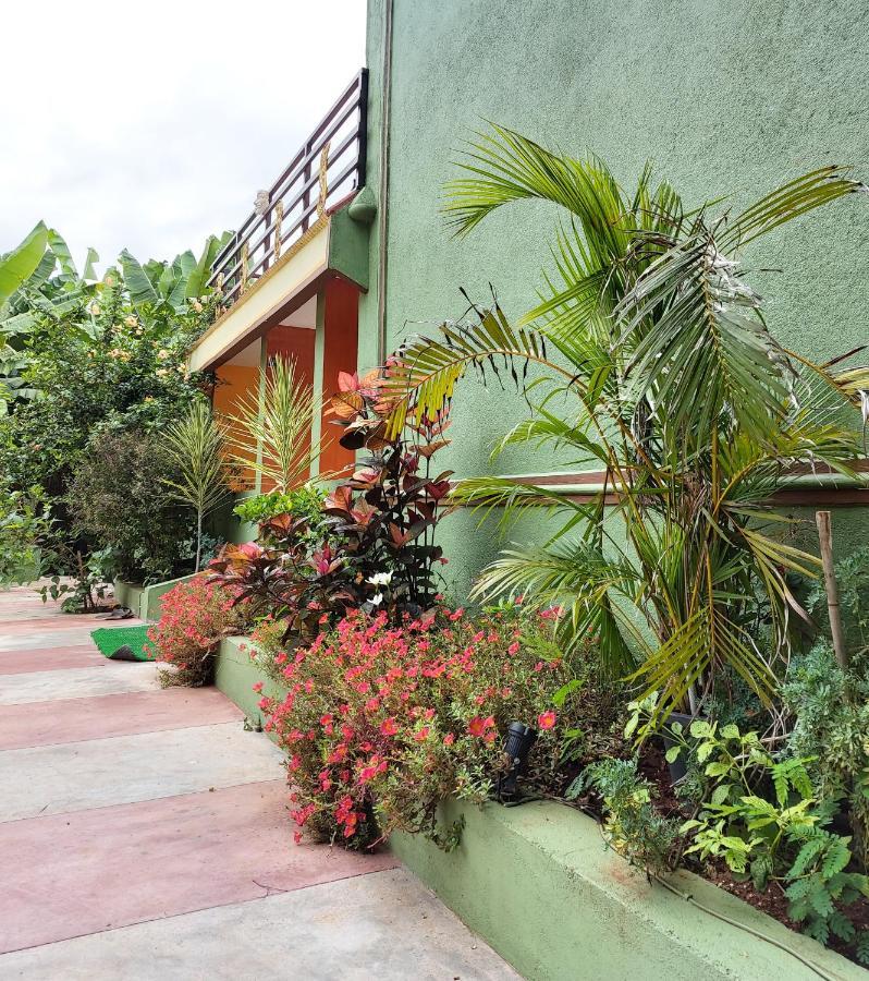 האמפי Banana Farm House מראה חיצוני תמונה