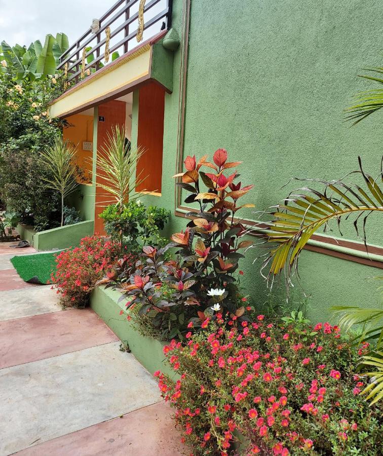 האמפי Banana Farm House מראה חיצוני תמונה