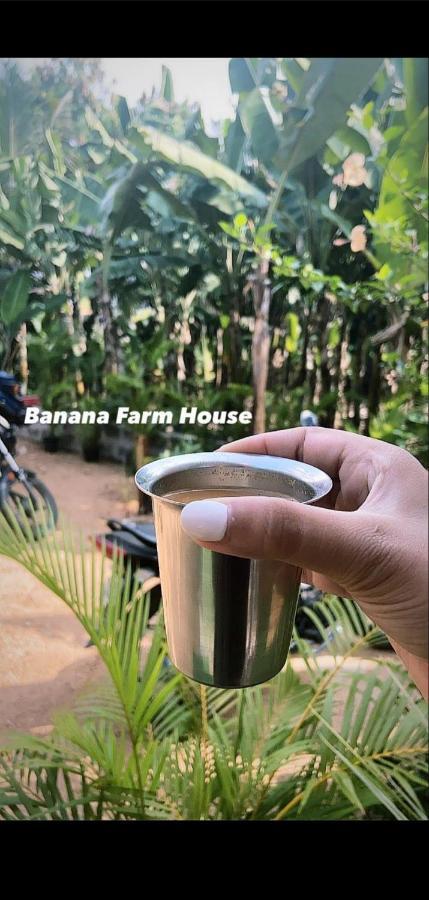 האמפי Banana Farm House מראה חיצוני תמונה