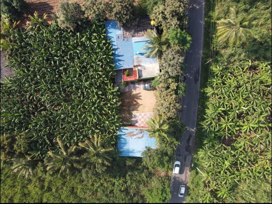 האמפי Banana Farm House מראה חיצוני תמונה