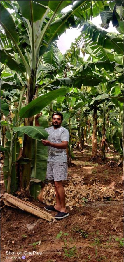 האמפי Banana Farm House מראה חיצוני תמונה